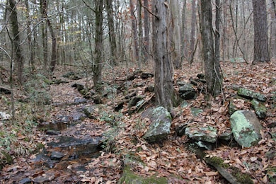 1790 Miller Point Rd S, Quitman, AR 72131 - photo 4