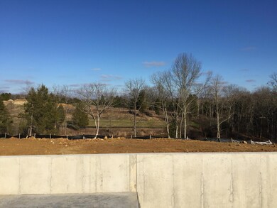 View of the Conservation Area