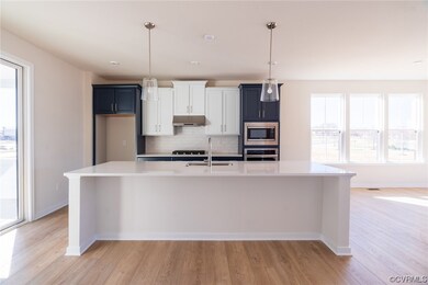 201 Quiet Breeze Aly unit 43-1, Midlothian, VA 23113 - photo 2