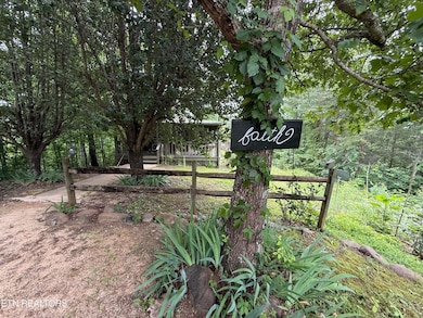 4355 Wilhite Rd unit 1, Cosby, TN 37722 - photo 3