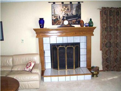 Family room, 2nd fireplace