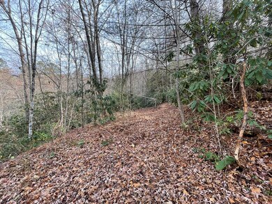 0 Mountain Laurel Rd, Robbinsville (Graham), NC 28771 - photo 7