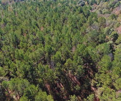 0 Highway 8, Aberdeen, MS 39730 - photo 6