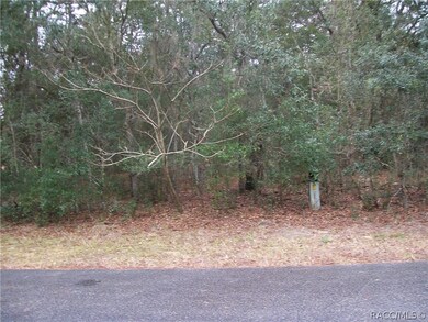 1870 E Bismark St, Hernando, FL 34442 - photo 2