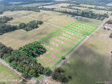 Tbd Begnaud Rd unit Lot 6, Sunset, LA 70584 - photo 6