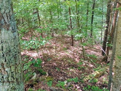 0 Rivendell Ln unit 307703, Coker Creek, TN 37385 - photo 6