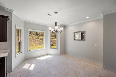 12 Cr 157, Oxford, MS 38655 - photo 7