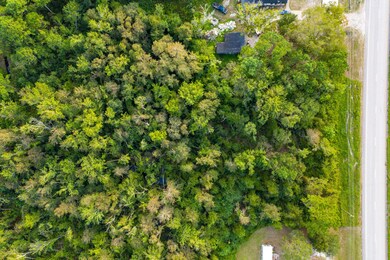 Lot Hwy. 17 #100191618-5