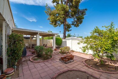 Spacious covered patio/yard