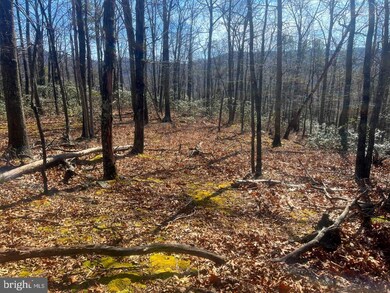 0 Tract 10 Lost River Bluffs unit WVHD2001350, Mathias, WV 26812 - photo 3