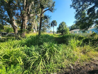 0 Roosevelt Ave, Sanford, FL 32771 - photo 4