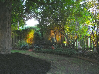 Southmin backyard 1