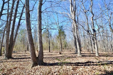 534 Toms Creek Church Rd, Denton, NC 27239 - photo 5