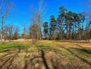 Lot 25 W Lake Rd, Texarkana, TX 75501 - photo 3