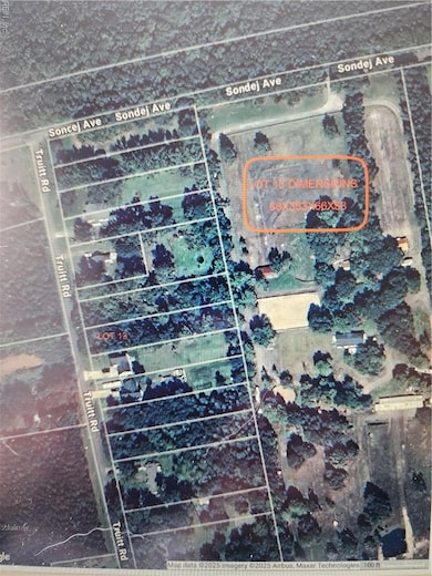 13 Truitt Rd, Chesapeake, VA 23321 - photo 5