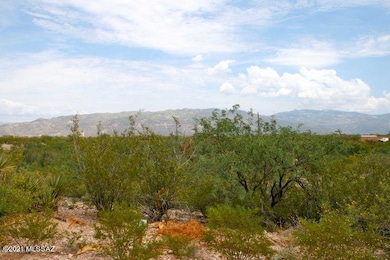 Jacaranda 13240 Kala