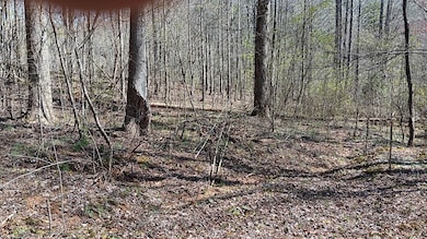 00 Helton Rd, Murphy, NC 28906 - photo 2