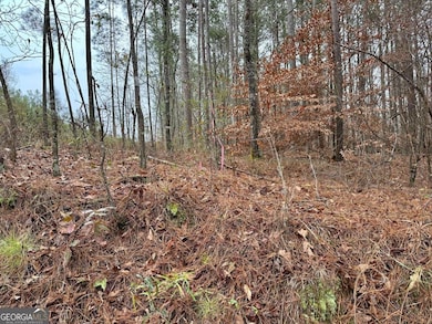 0 County Road 59 unit 10654046, Heflin, AL 36264 - photo 2