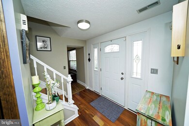 4424 Cub Run Rd, Chantilly, VA 20151 - photo 6