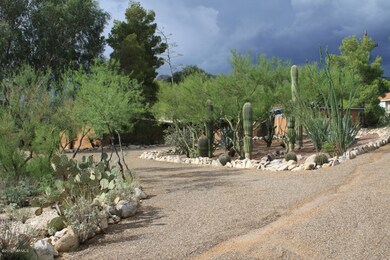 Drive way