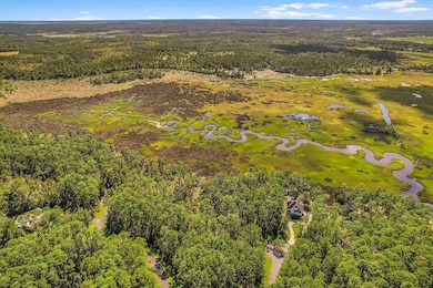 135 Blackbeard Ct, Townsend, GA 31331 - photo 6