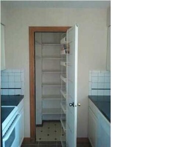 Walkin Pantry with a lot of storage
