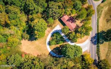 566 Old Spencer Road - 2 Acres, Pikeville, TN 37367 - photo 4