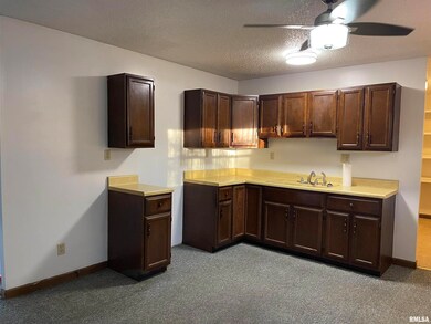 806 S State St, Lincoln, IL 62656 - photo 6