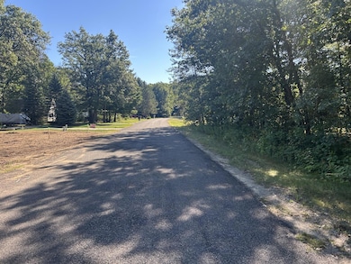 134 Snowflake Way, Houghton Lake, MI 48629 - photo 6