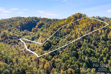 000 Hamburg Rd unit 17, Mars Hill, NC 28754 - photo 4