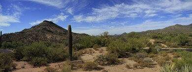 Panorama west