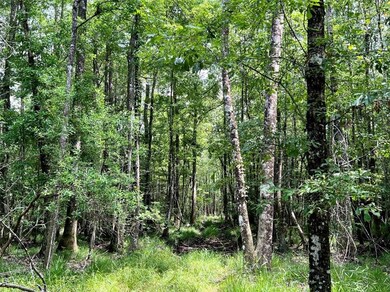 0 State Highway 59 unit 7239248, Bay Minette, AL 36507 - photo 2