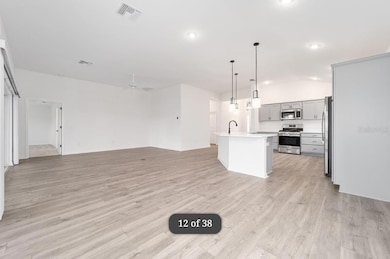 1917 Panlilio Loop, Sumterville, FL 33585 - photo 5