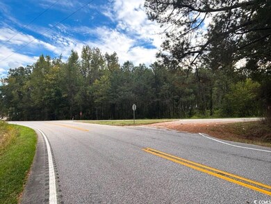 0 Marlboro Way, Bennettsville, SC 29512 - photo 6