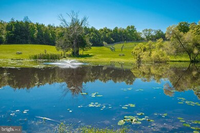 487 Old Bridge Rd, Amissville, VA 20106 - photo 6