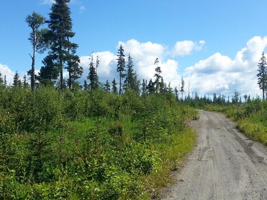 20140729_160314.jpg