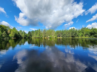 13331 Henry Rd, Diana Center, NY 13648 - photo 4