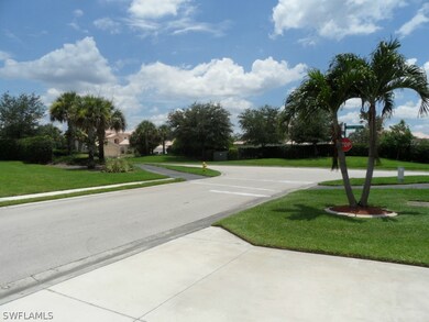View from the drive