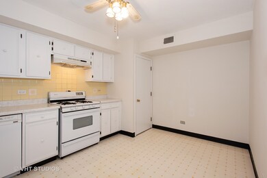 407 Franklin Ave unit 3C, River Forest, IL 60305 - photo 7