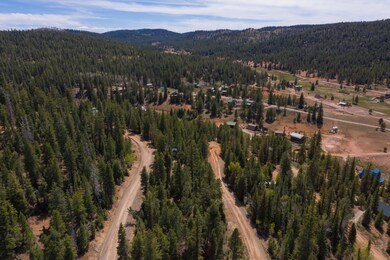 101-Swains Creek