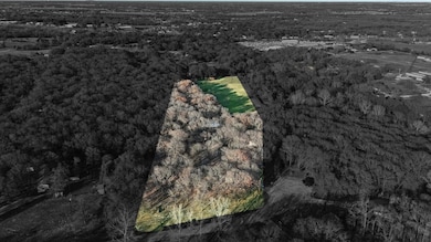 117 Pine Bluff Ct, Springtown, TX 76082 - photo 4