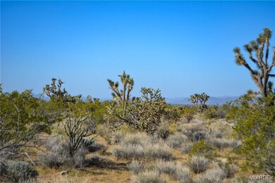 View of local wilderness