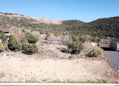 725 SE Pine St, Cedaredge, CO 81413 - photo 6