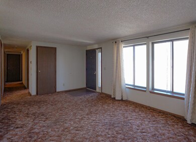 IMG_0037 (1)