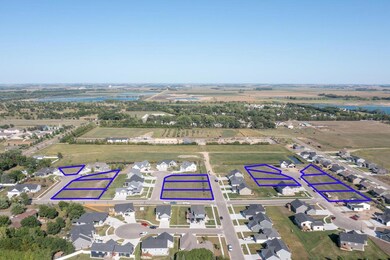 Drone View