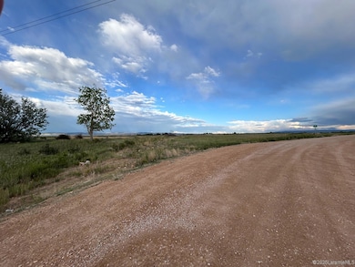 1 Cottontail Dr unit Lot 1, Laramie, WY 82070 - photo 2