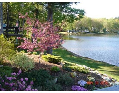 Creeping phlox, rhododendrons and...