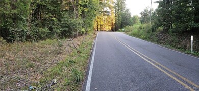 0000 Old Sellers Rd, Ramer, AL 36069 - photo 4