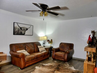 1305 SE 5001, Andrews, TX 79714 - photo 5