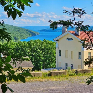 pics from the lower lot line overlook The Mansion
